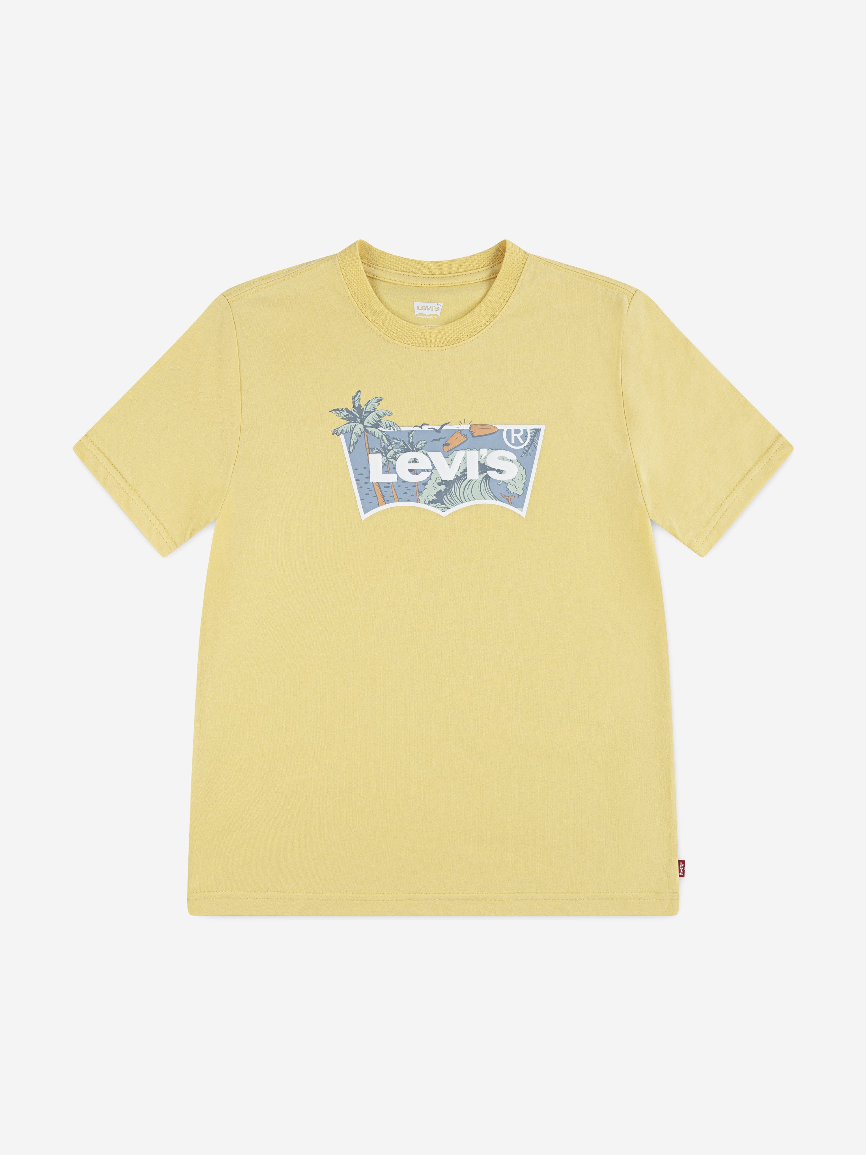 clothing levi's batwing t shirt