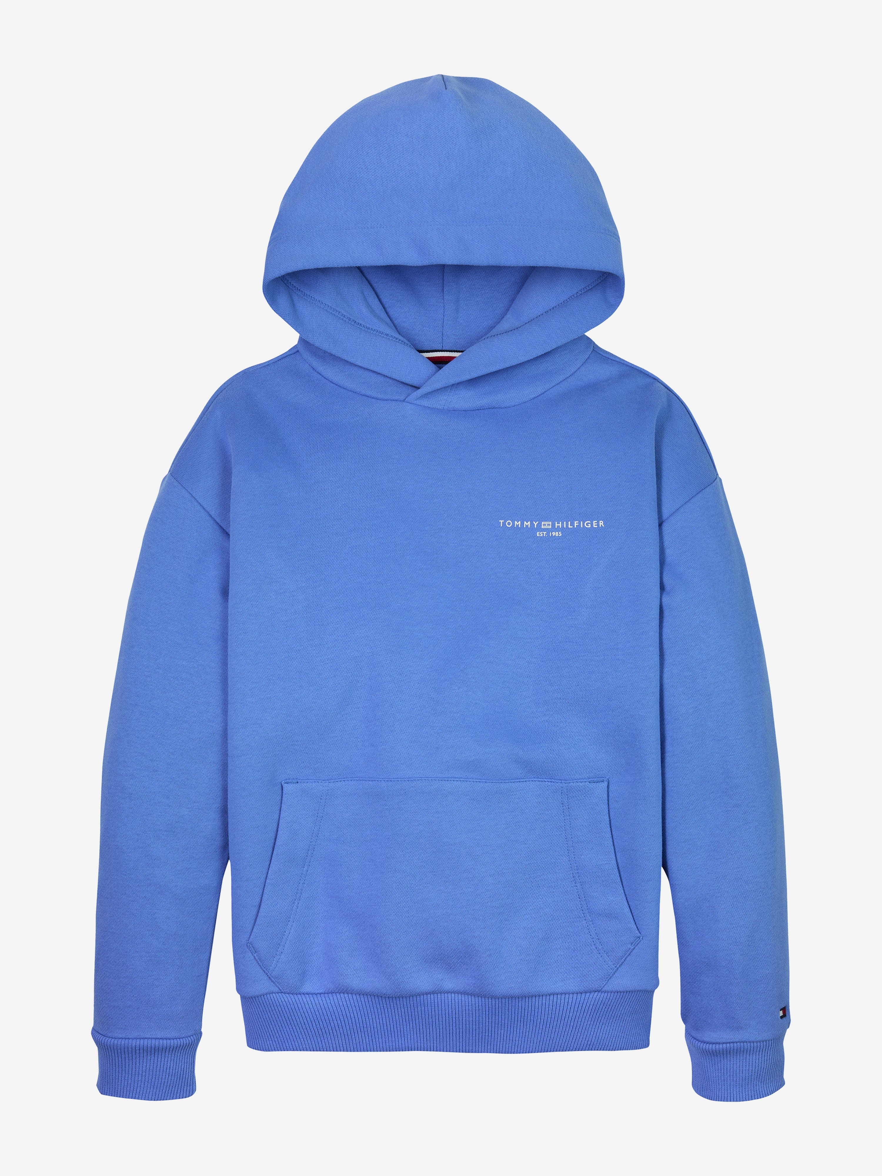 Tommy Hilfiger Tommy Hilfiger Kids Mini Corp Logo Hoodie in Blue