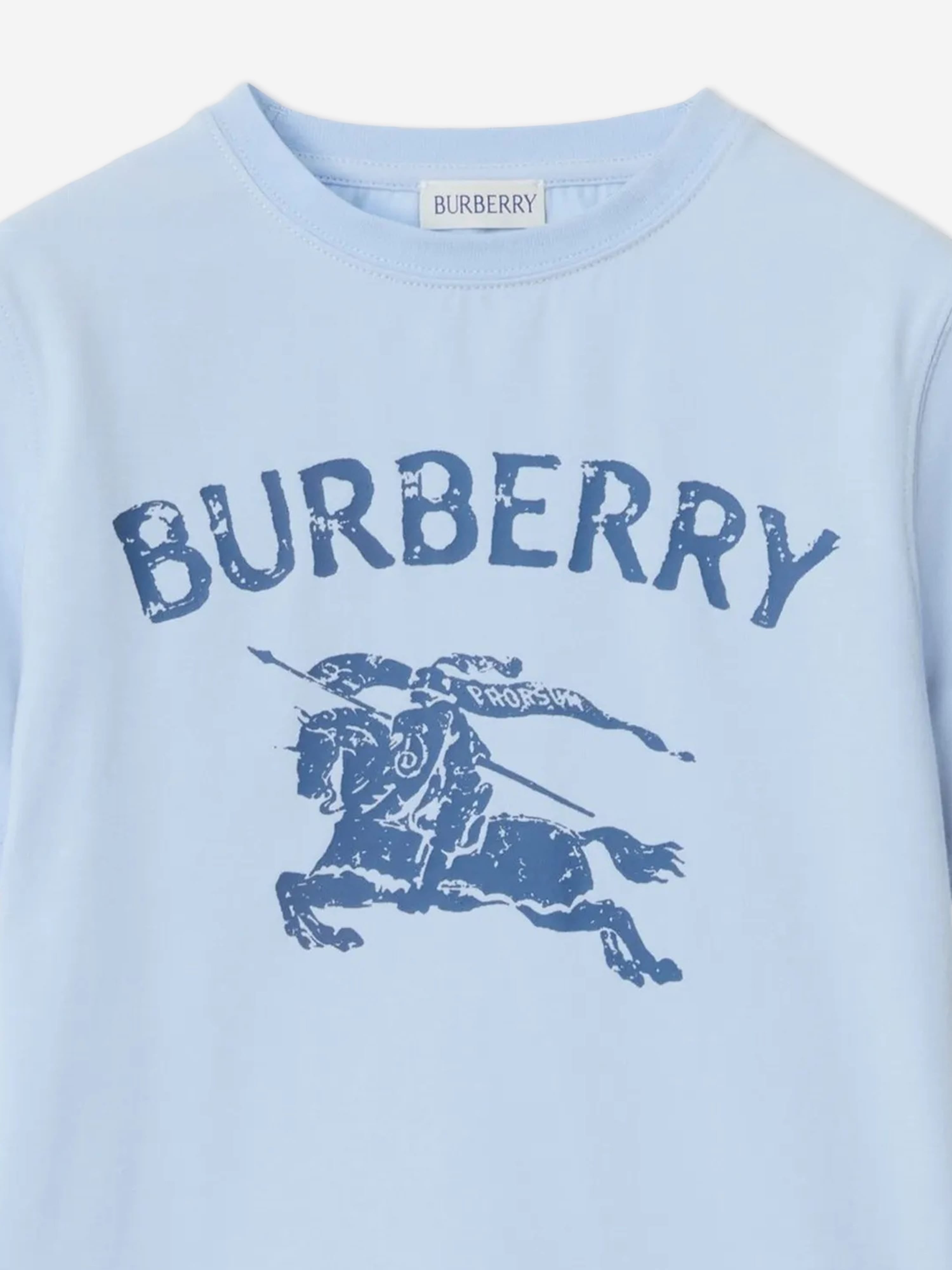 Burberry Boys Cedar Stamp EKD T-Shirt in Blue | Childsplay Clothing