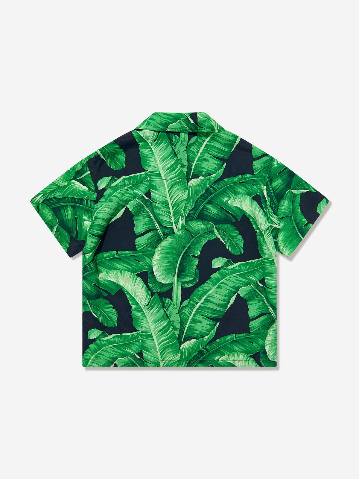 Dolce & Gabbana Boys Banana Leaf Shirt in Green | Childsplay Clothing