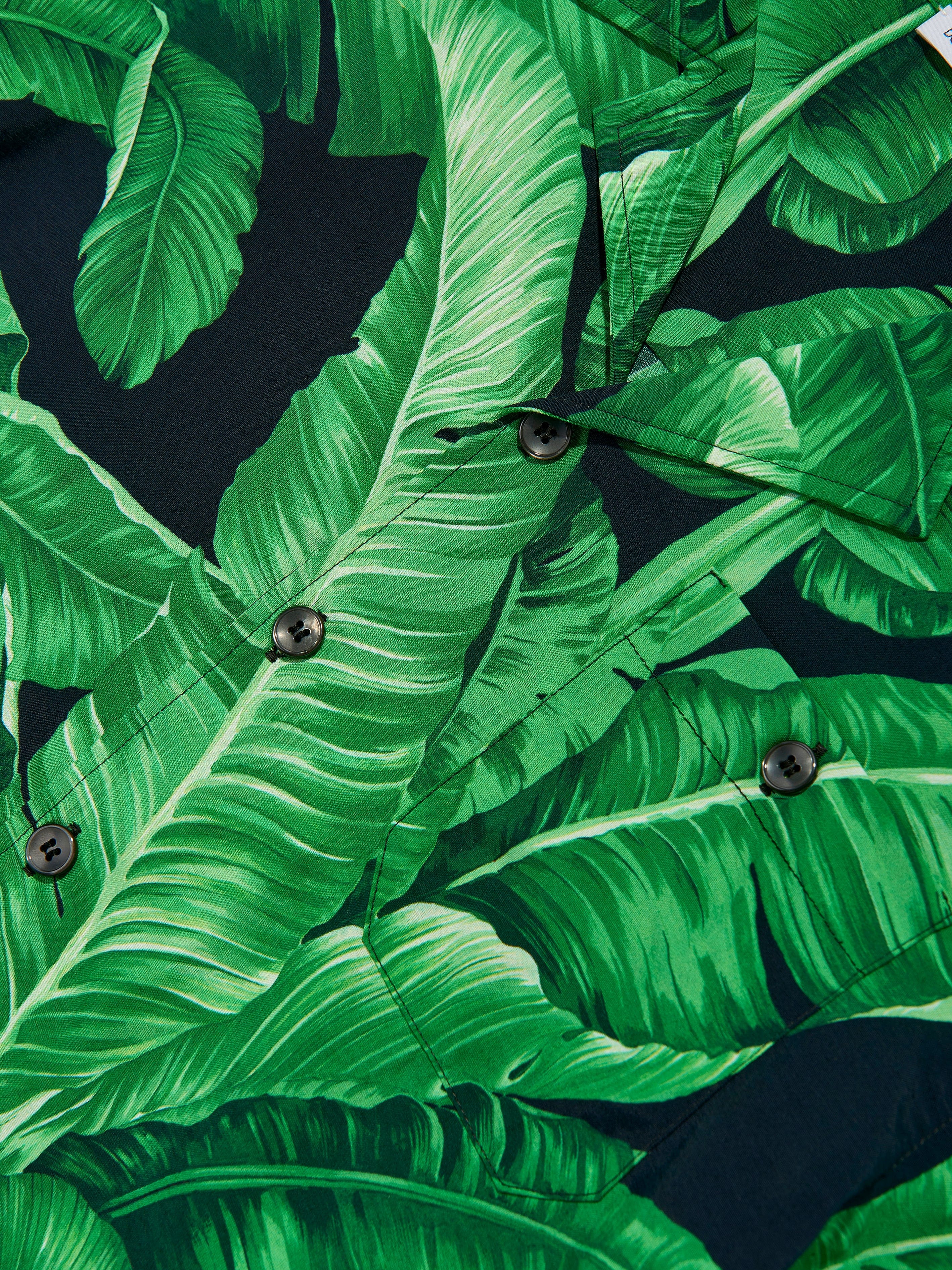 Dolce & Gabbana Boys Banana Leaf Shirt in Green | Childsplay Clothing