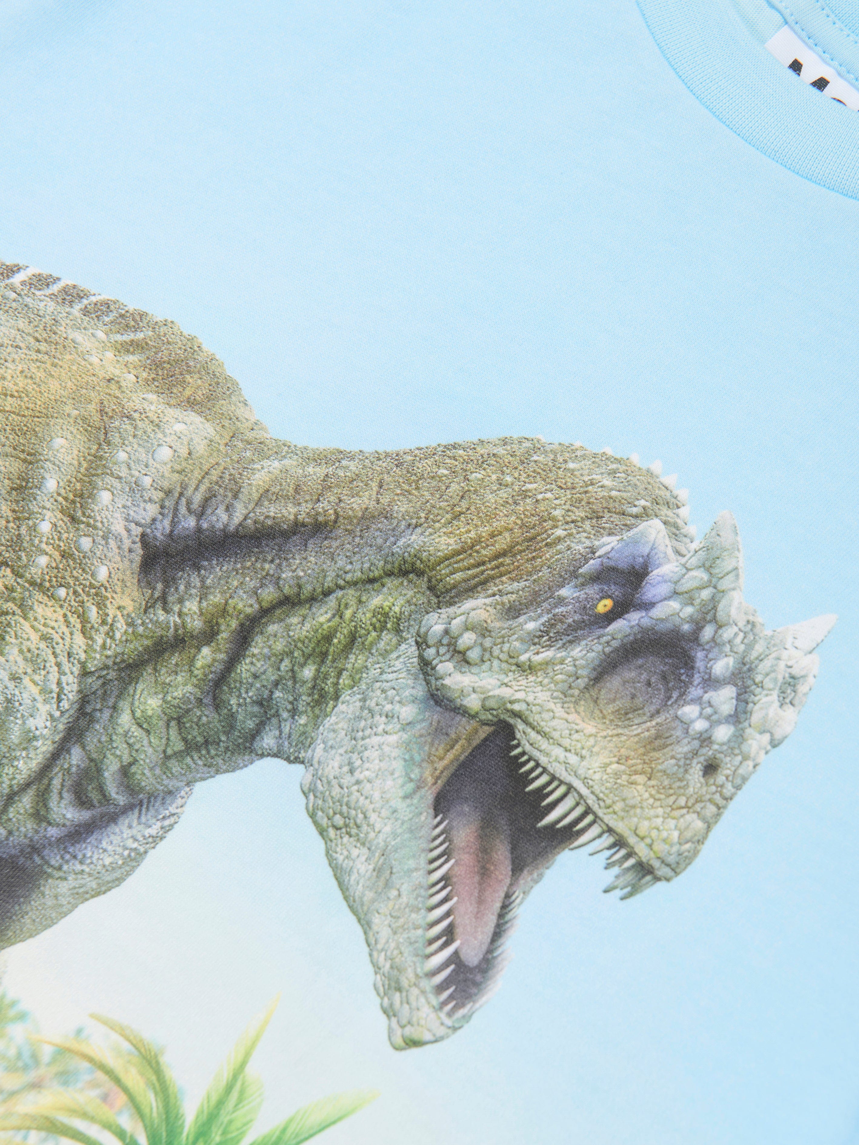 Molo Molo Boys Beach Dinosaur Print T-Shirt in Blue Childsplay