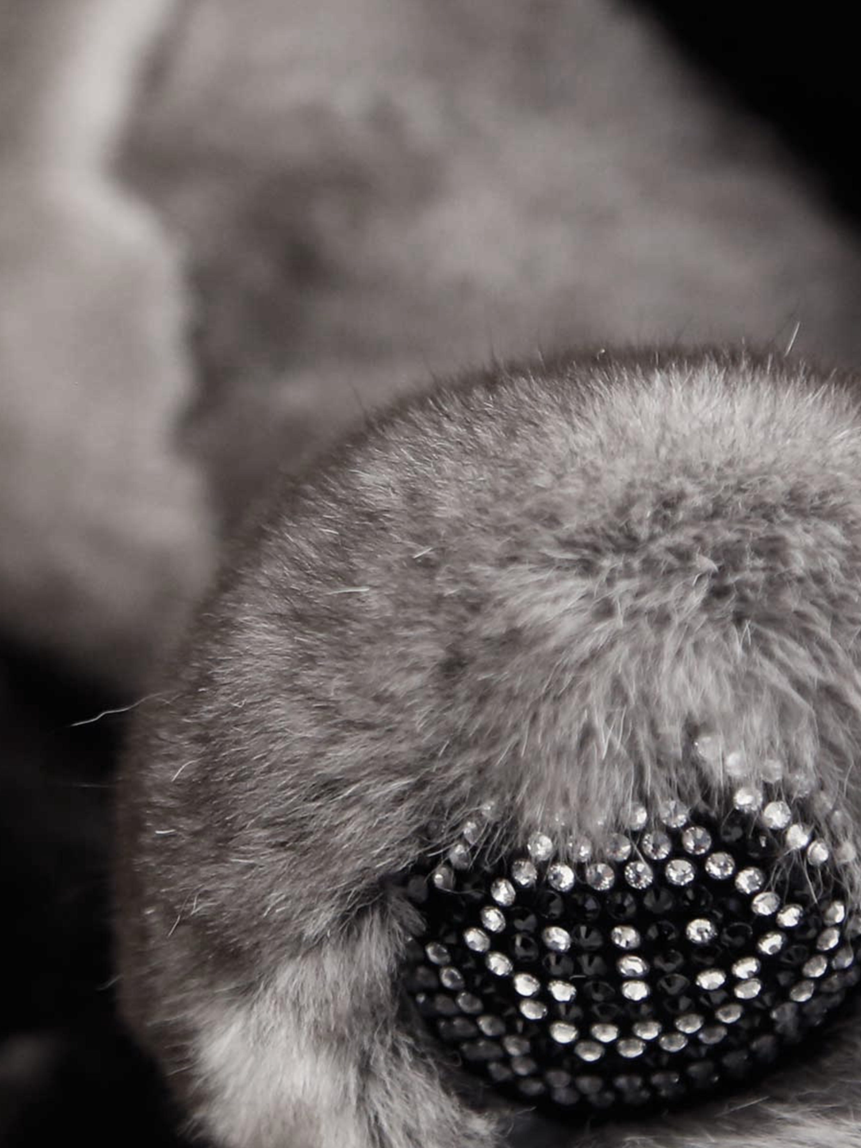 Philipp Plein Unisex Teddy Bear | Childsplay Clothing