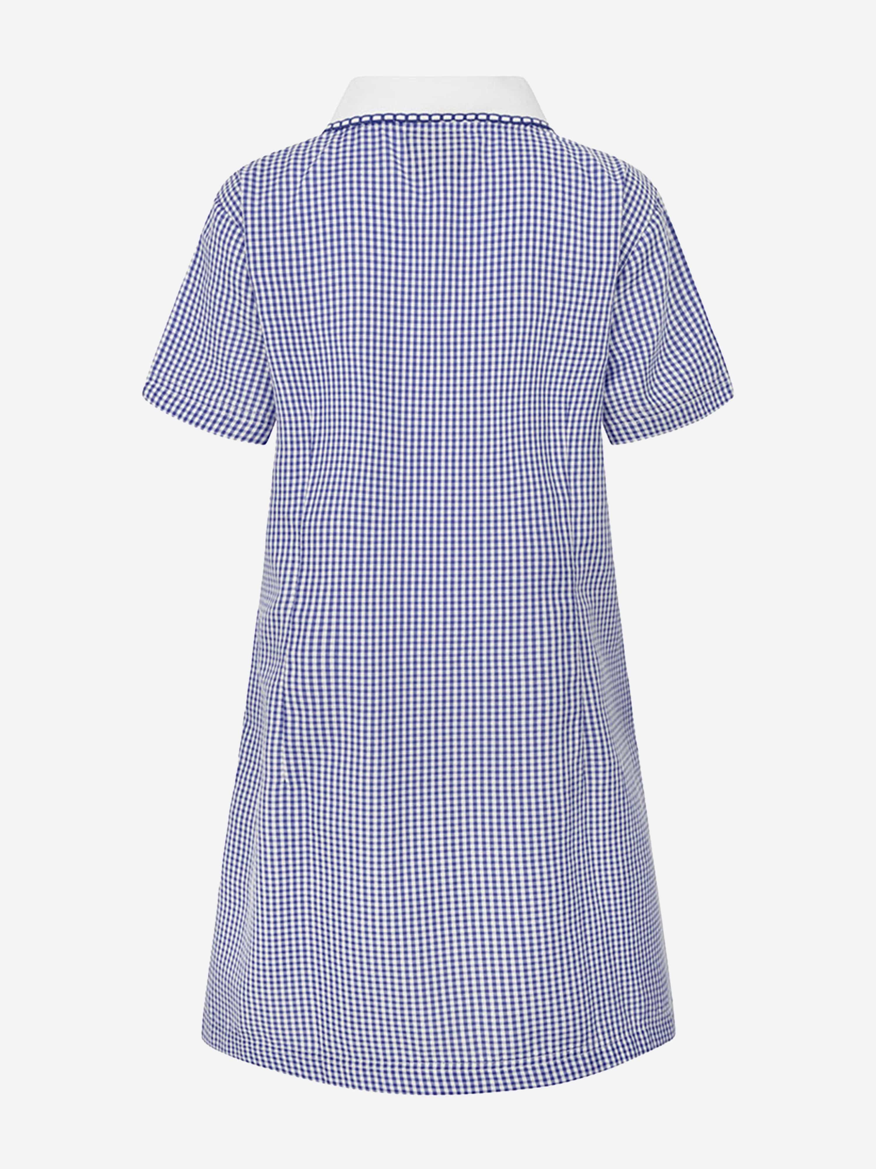 a line gingham dress Zeco Schoolwear Zeco Girls School A-Line Gingham Eco-Dress in Navy 5
